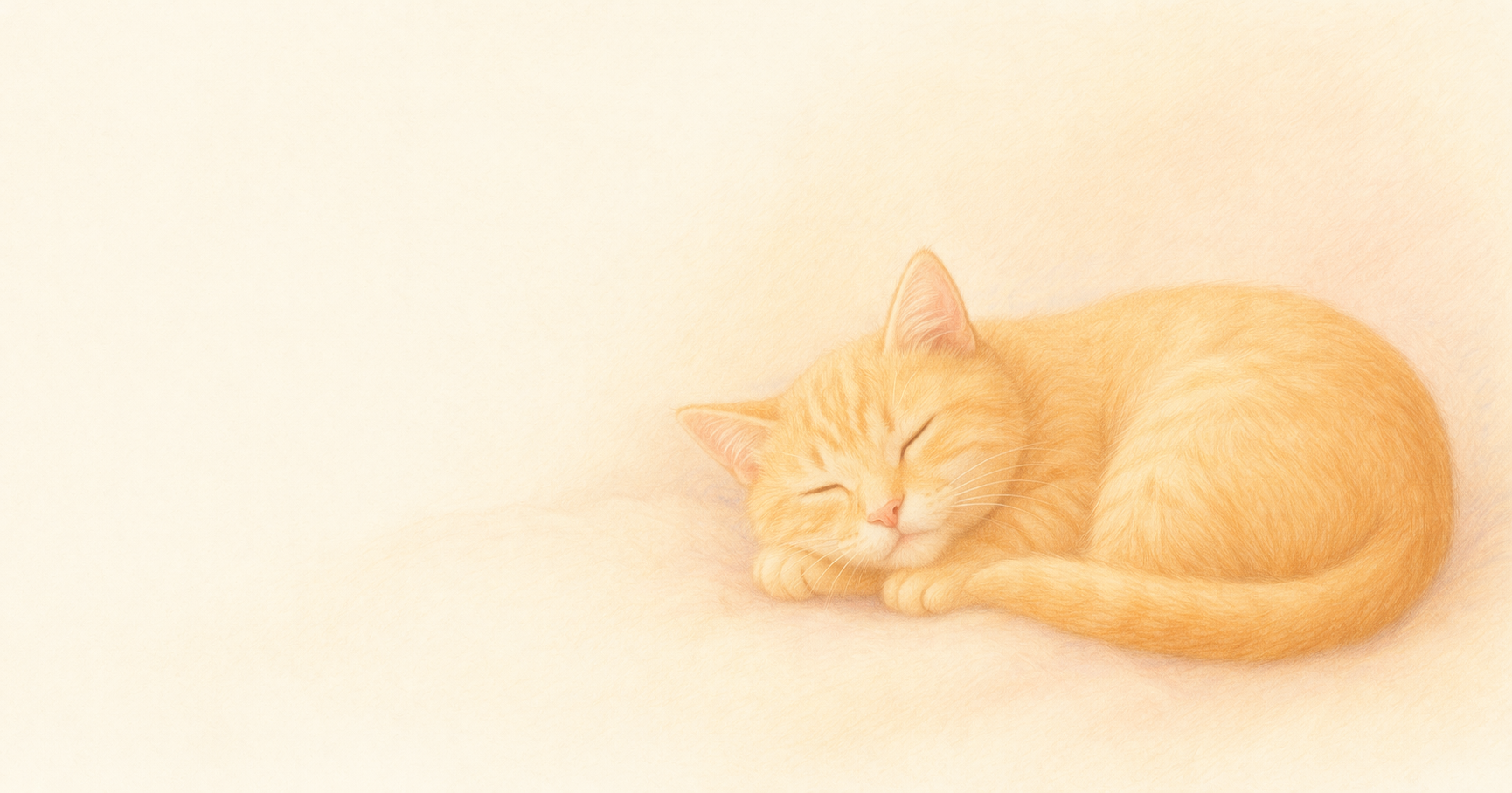 茶トラ猫が眠っている